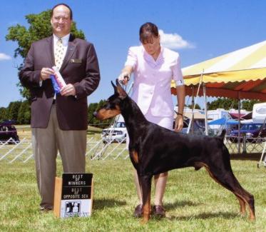 Gino June 2012