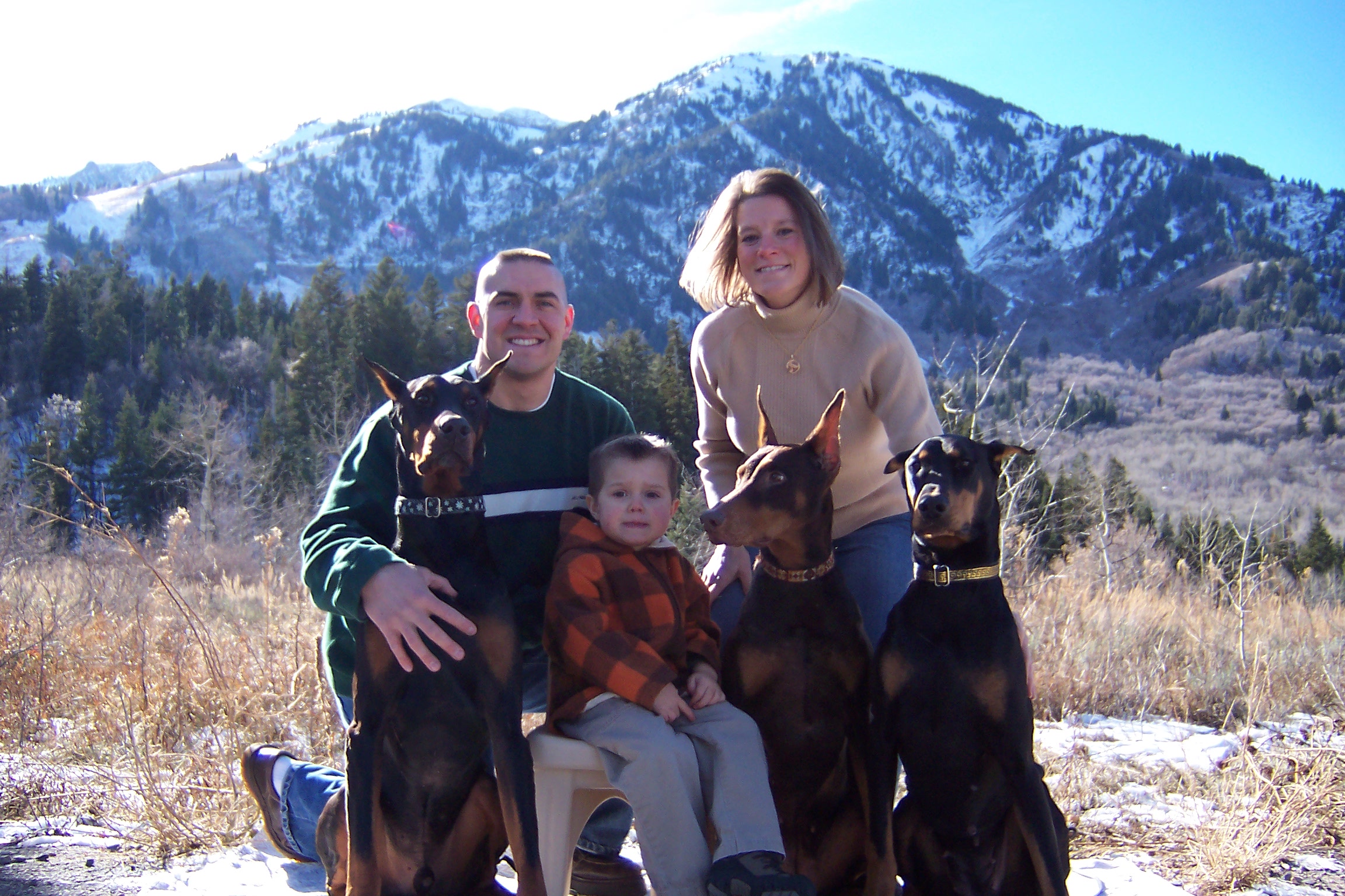 family doberman