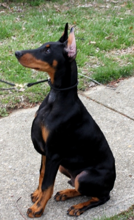 Ashur 5 months