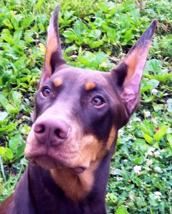 Castle 7 months