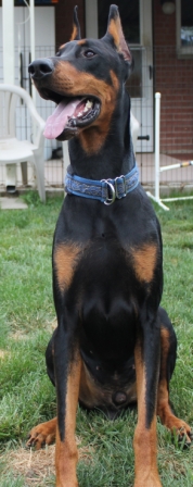 Gino 18 months