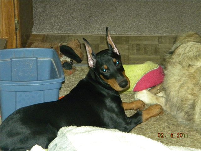 Laser 12 weeks