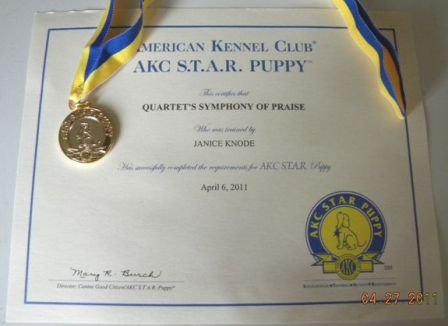 Laser's Star puppy medal